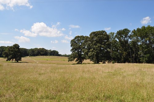 Property photo 21 - 1,575+/- Acres Offered in 23 Tracts